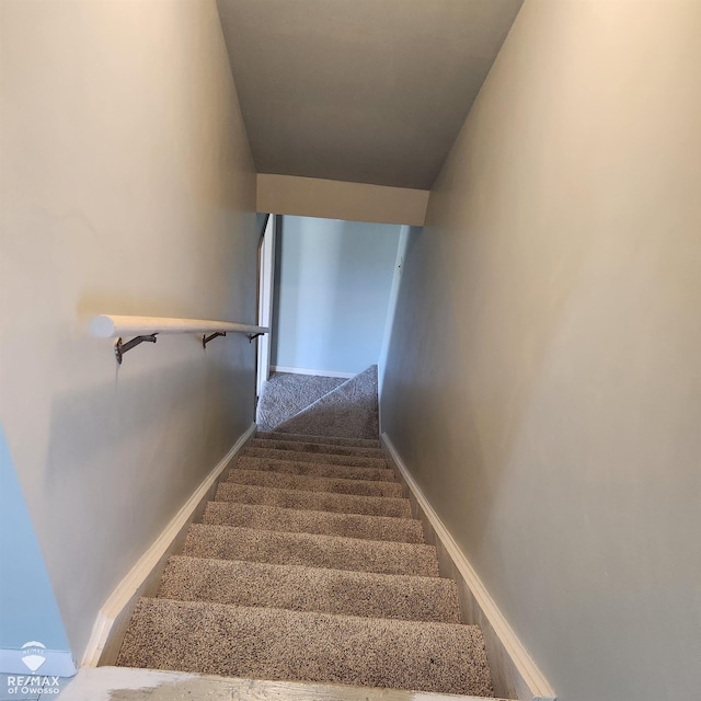 stairs with carpet floors