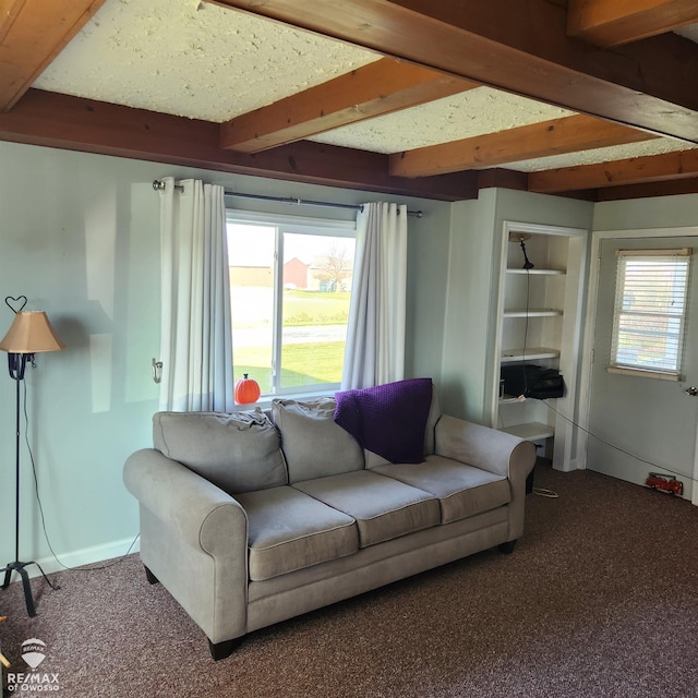 carpeted living room with beamed ceiling and a healthy amount of sunlight