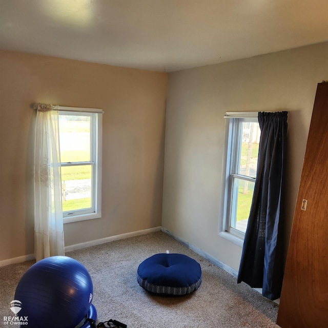 exercise room with carpet floors