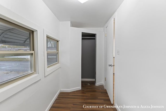 100 Inca Dr SW, Grand Rapids, MI 49548 - hall with dark wood-style floors and baseboards