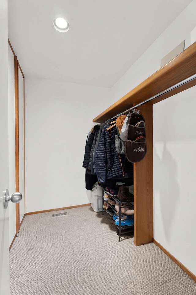 spacious closet with carpet floors