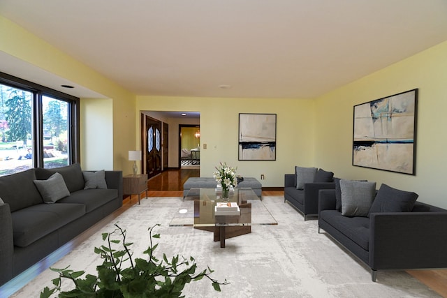 living room with light wood-type flooring