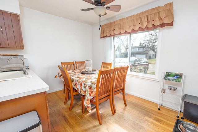 dining area featuring ceiling fan, sink, and light hardwood / wood-style floors