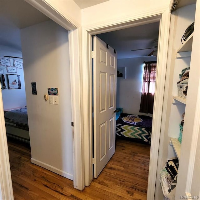 hall with dark hardwood / wood-style floors