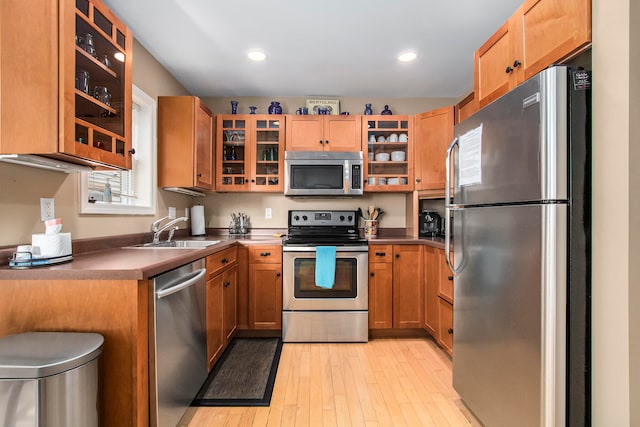 kitchen featuring sink, light wood-type flooring, and stainless steel appliances