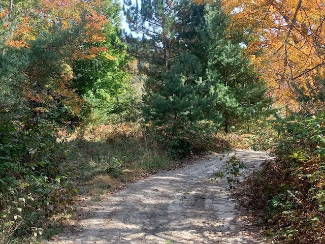 view of road