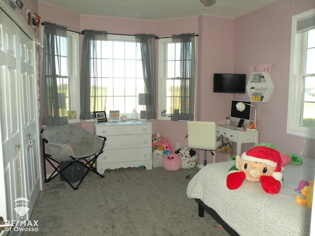 carpeted bedroom featuring a closet