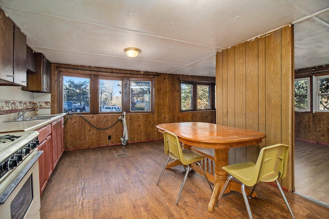 dining area with dark wood-type flooring, wooden walls, and sink