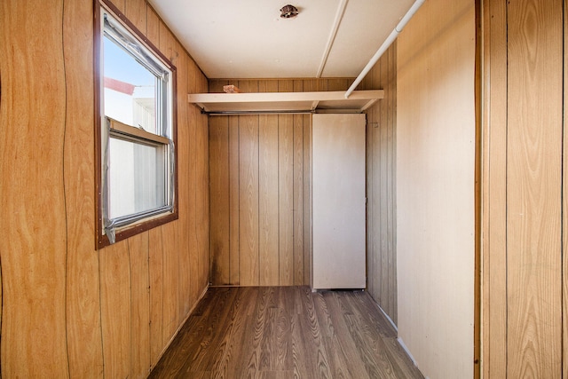 corridor with wood walls and dark hardwood / wood-style flooring