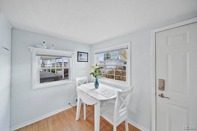 dining room with hardwood / wood-style floors