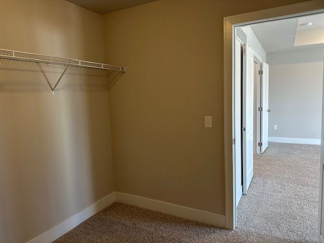 walk in closet with carpet floors