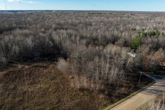TBD S Alamando Rd, Michigan, MI 48880