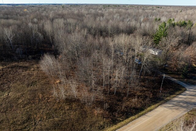 TBD S Alamando Rd, Michigan, MI 48880