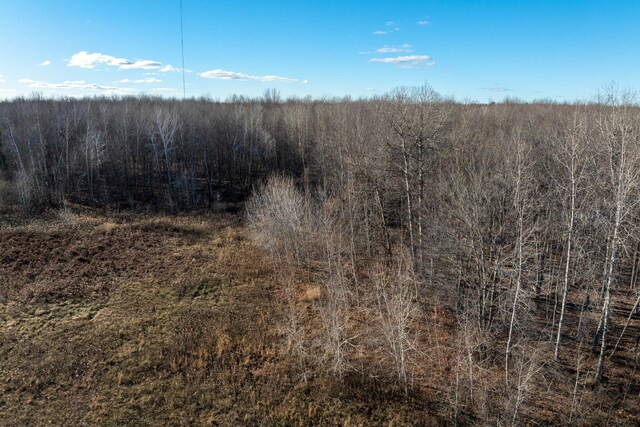 TBD S Alamando Rd, Michigan, MI 48880