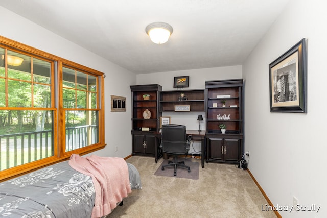 view of carpeted bedroom