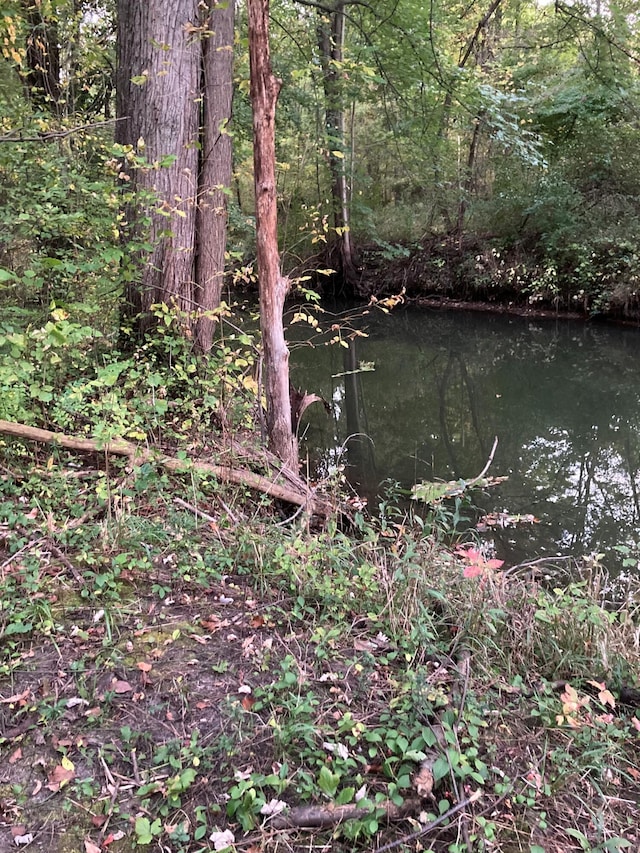 view of nature featuring a water view