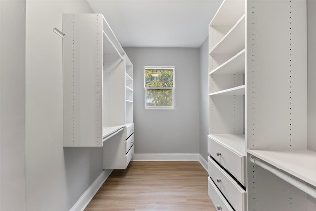 spacious closet with light hardwood / wood-style flooring