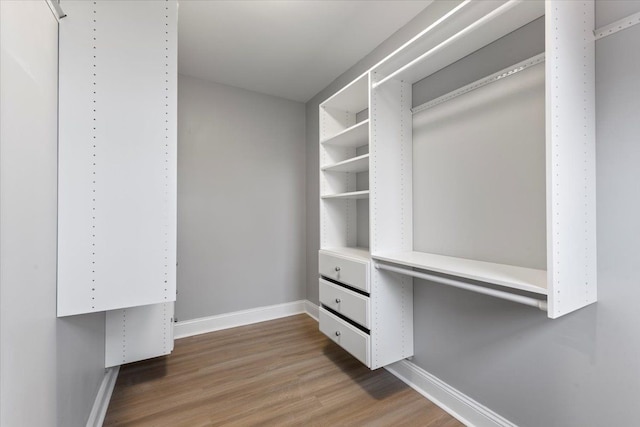 walk in closet with hardwood / wood-style floors