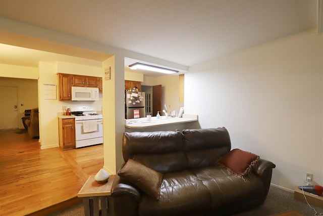 living room with light hardwood / wood-style flooring