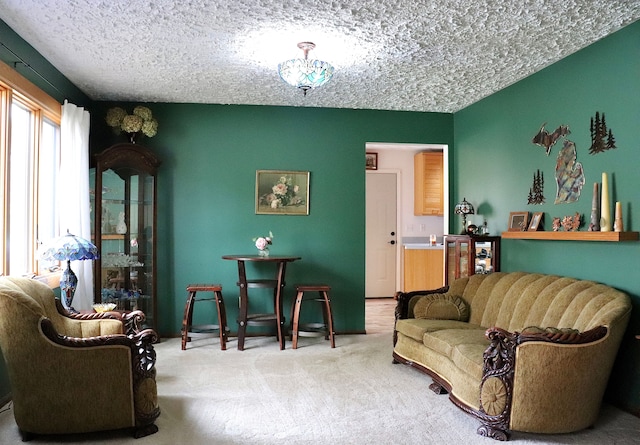 sitting room with carpet and a textured ceiling