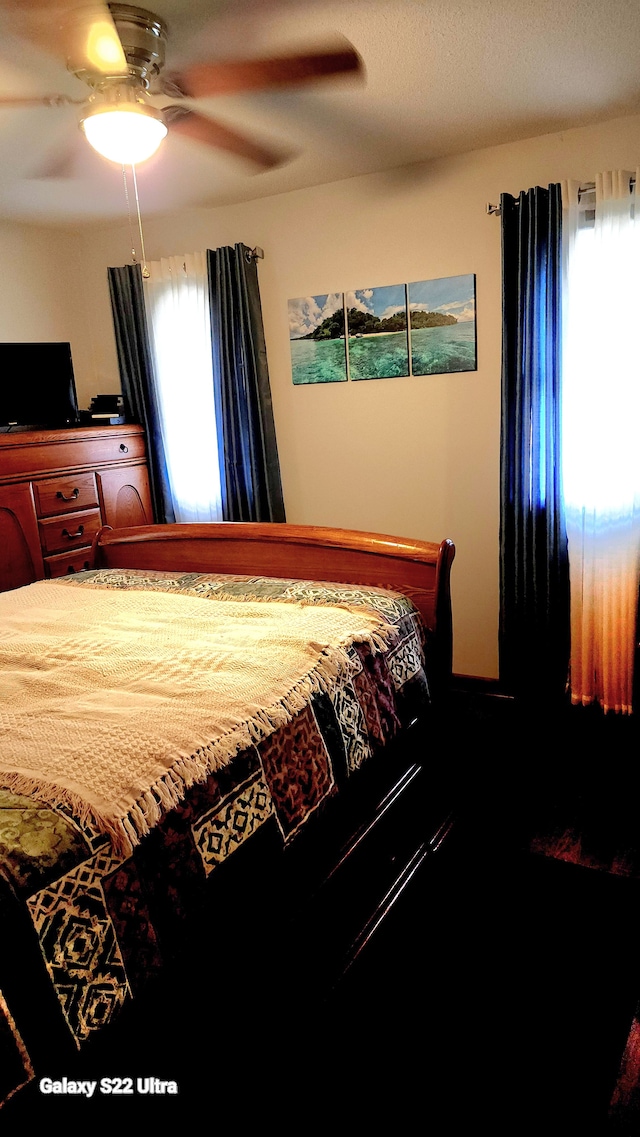 bedroom with multiple windows and ceiling fan