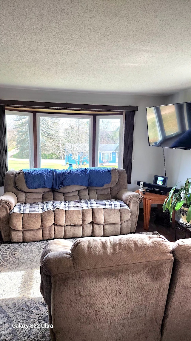 living room featuring carpet flooring and a textured ceiling