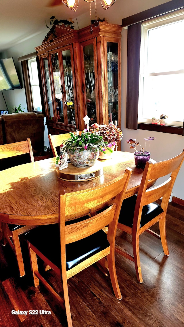 dining area with dark wood-type flooring