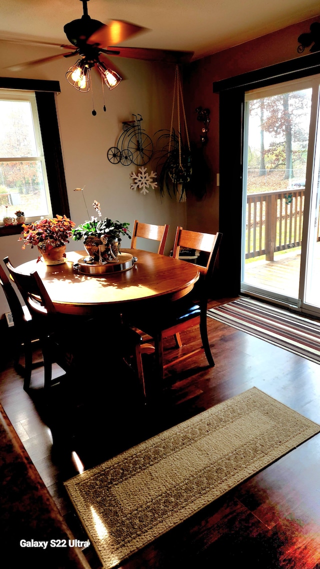 dining room featuring ceiling fan and dark hardwood / wood-style flooring