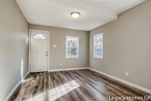 foyer entrance featuring wood-type flooring