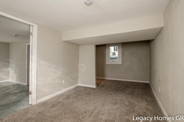 basement featuring carpet floors