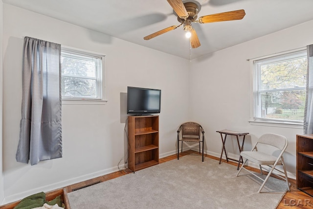 living area with a wealth of natural light and ceiling fan