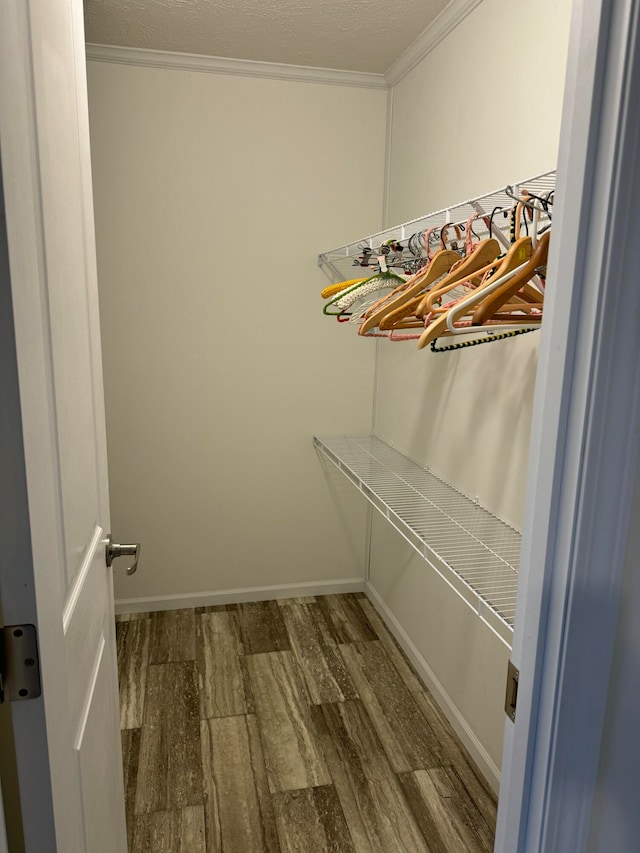 spacious closet featuring hardwood / wood-style flooring