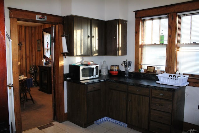 kitchen featuring dark brown cabinetry and light colored carpet