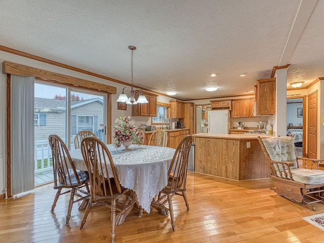 dining room with crown molding, light hardwood / wood-style floors, sink, and a textured ceiling