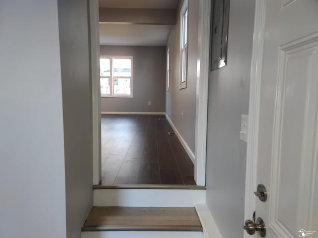 113 Walnut St, Brooklyn, MI 49230 - hall featuring baseboards and dark wood finished floors