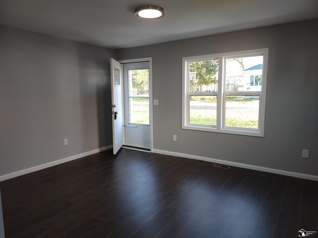 113 Walnut St, Brooklyn, MI 49230 - empty room featuring baseboards and dark wood finished floors
