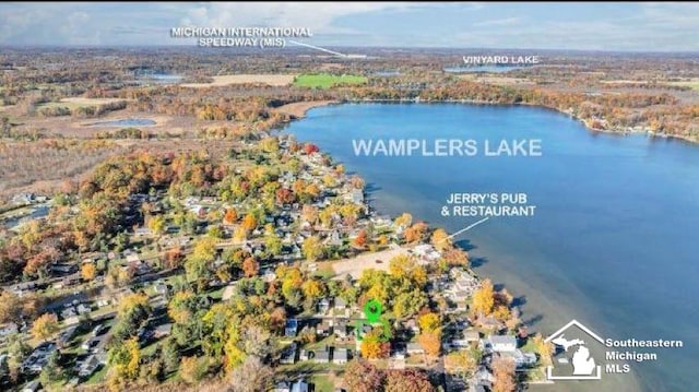 113 Walnut St, Brooklyn, MI 49230 - aerial overview of property's location featuring a nearby body of water