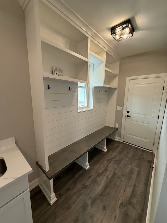 mudroom with dark wood-type flooring