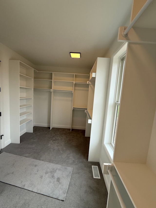 walk in closet with dark carpet