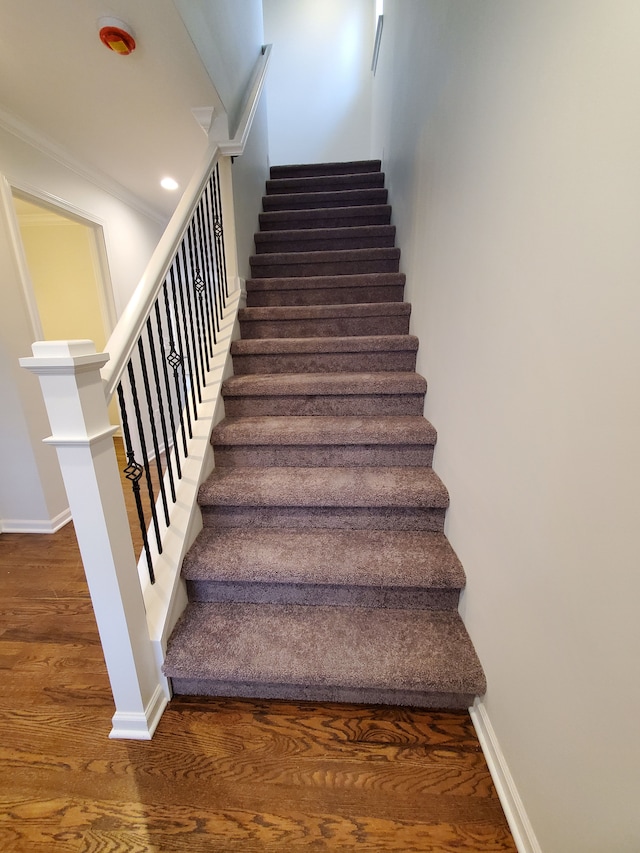 staircase with hardwood / wood-style floors