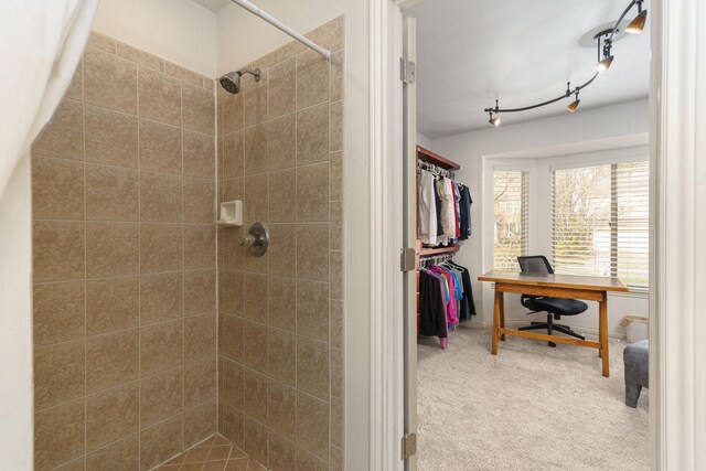 230 E Elizabeth St, Lake Orion, MI 48362 - full bathroom featuring a tile shower