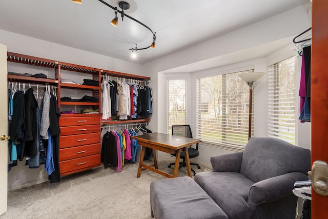 walk in closet featuring light carpet