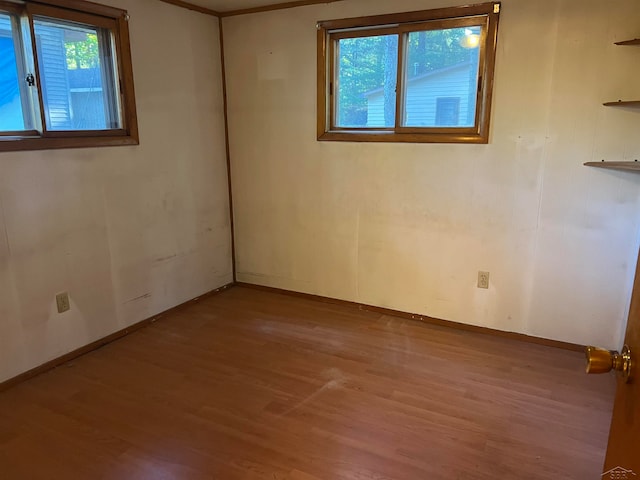 spare room with light hardwood / wood-style floors and plenty of natural light