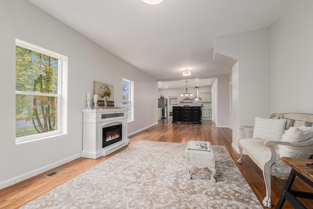 living room featuring a healthy amount of sunlight and hardwood / wood-style floors