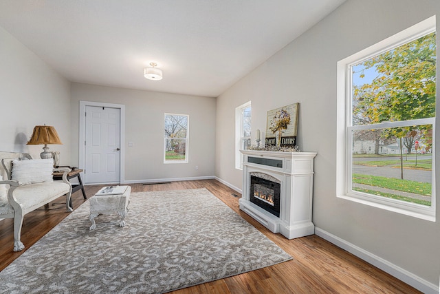 living room featuring light hardwood / wood-style flooring