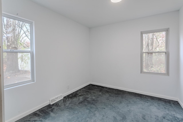 carpeted spare room with a healthy amount of sunlight