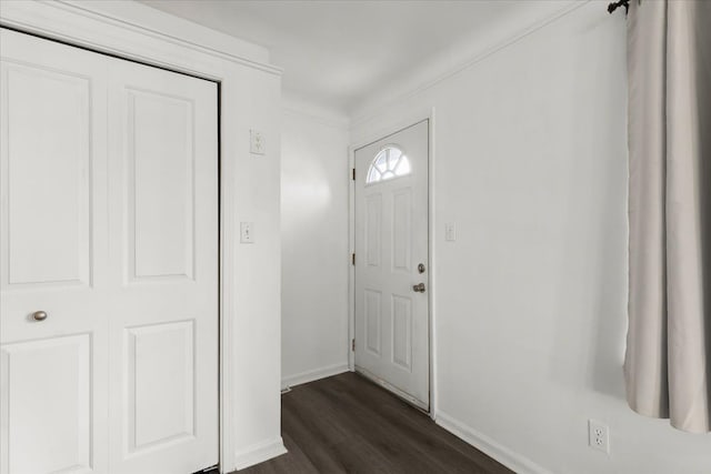 entrance foyer with dark wood-type flooring