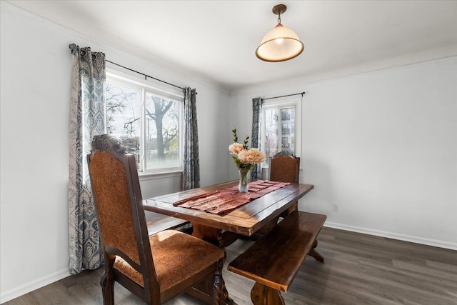 dining room with dark hardwood / wood-style floors