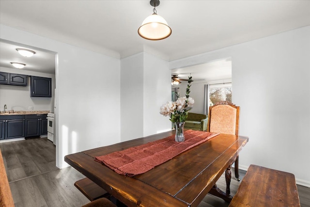 dining area with dark hardwood / wood-style floors, ceiling fan, and sink