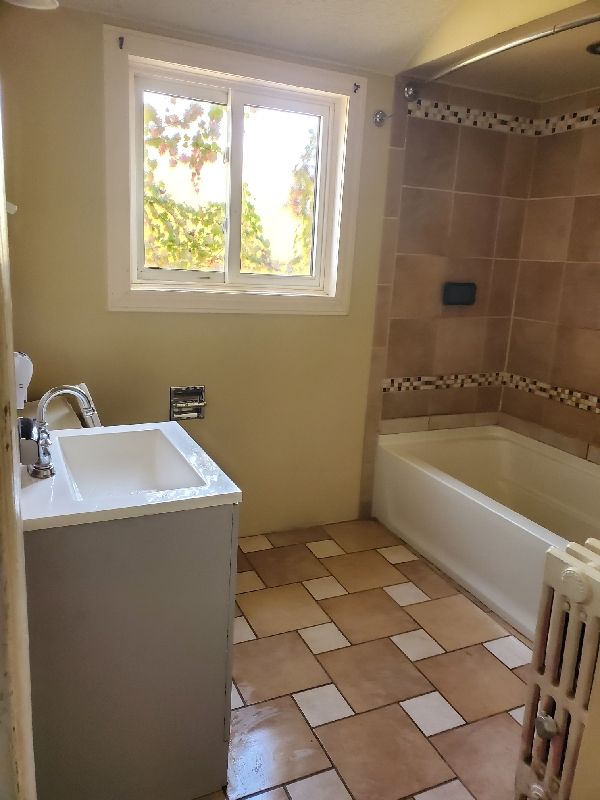 17366 Monica St, Detroit, MI 48221 - full bath featuring radiator, vanity, and washtub / shower combination